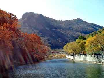 新澳天天开奖资料大全旅游团，凯美瑞论坛